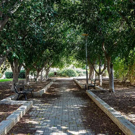 Center * Nicosia